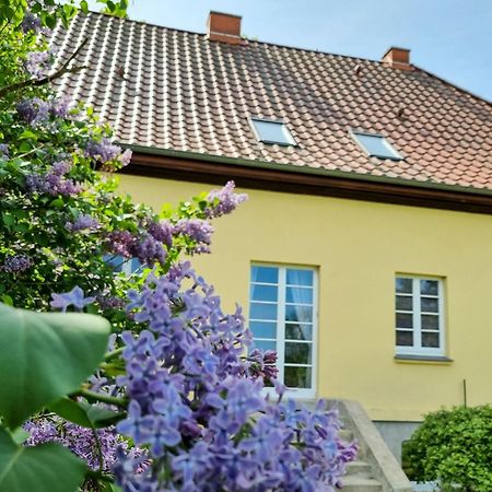 Gutshaus Neu Necheln Apartment Bruel Екстериор снимка